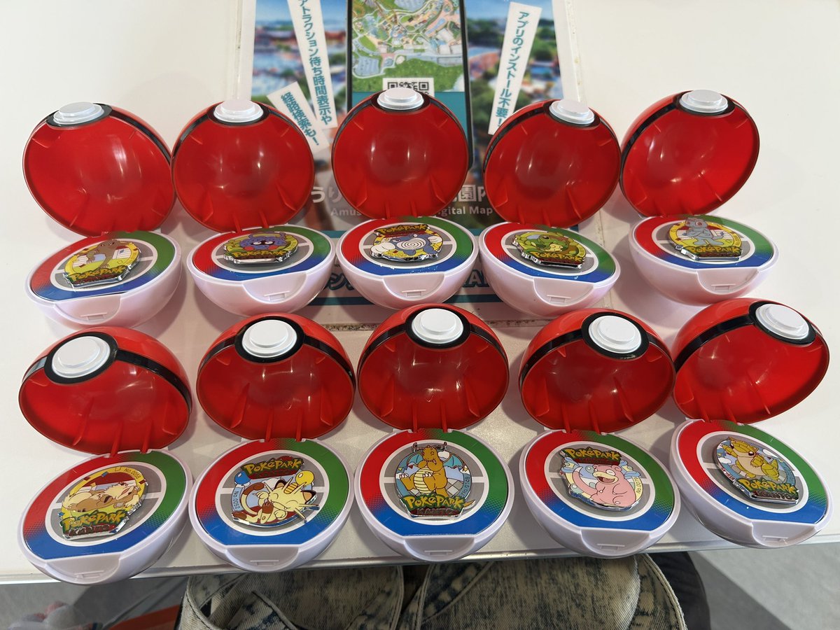 ポケパーク ピンズ 交換！ 交換可能 カイリュー ニャース以外のもの 