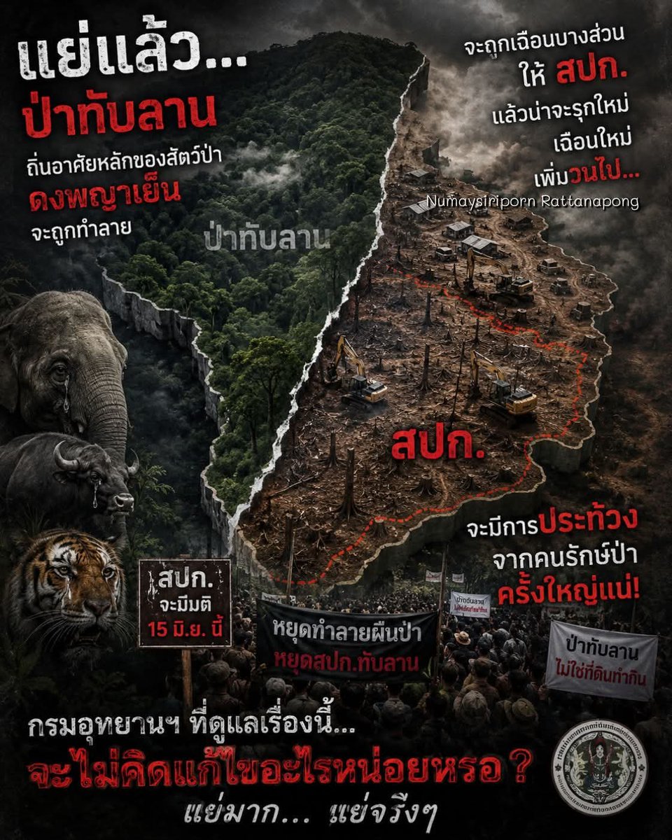 paichewee65779's tweet photo. พอสัตว์ป่าช้างออกหากินพวกมึงก็อ้างพวกเขาบุกรุกเอาไฟช๊อตฆ่าพวกเขา
และต่อไปอีก50ปีถึงร้อยปีข้างหน้าลูกหลานพวกมึงก็จะอ้างที่ปู่ย่าตายายกู_เหมือนปัจจุบันที่มีปัญหากับช้างทุกๆที่ https://t.co/i25K51SVGB