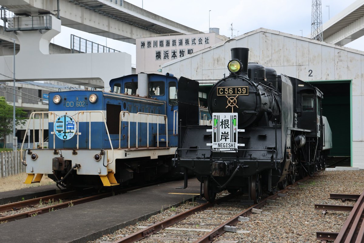 SaladDays0725's tweet photo. 20260614
神奈川臨海鉄道の本牧埠頭駅にて、C56139とKD60の撮影会…

C56139は想像以上に美しい状態。
部品の刻印がほぼC56139で、他の号機の物の流用は少ない。
ヘッドマーク無しから、今回のイベント、ちどりなど色々着けてくれた。
現役の線路上での保存ですから、静態保存機でも良い感じですね。 https://t.co/jcpqJbd5CH
