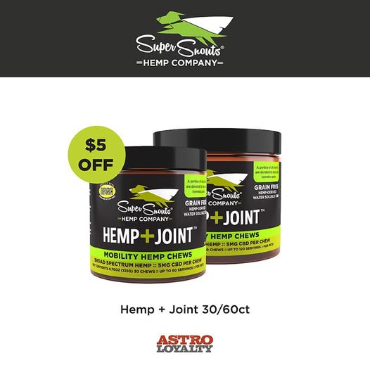 pet_fetch's tweet photo. This month, Super Snouts Hemp + Joint chews are $5 off on 30 or 60 count. Stop in to get this deal!
#fetchpetemporium
#benningtonsmallbusiness https://t.co/jbRWuw20X8