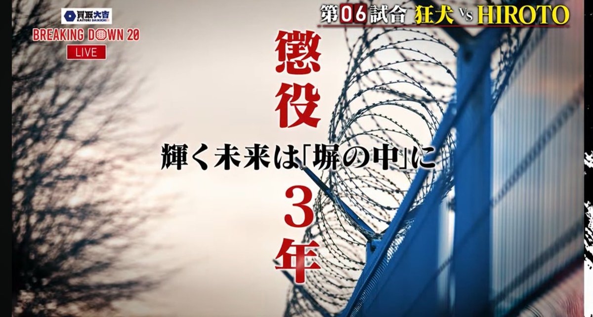 さーもん。 tweet media