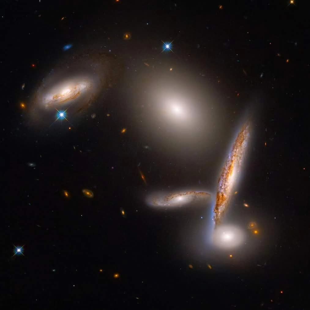 AstroDanziger's tweet photo. CINQUE GALASSIE IN POSA, RITRATTE DA HUBBLE 

Buongiorno a tutti, con questa immagine che non esito a definire pazzesca, ripresa dal telescopio spaziale Hubble.
Il gruppo di isole cosmiche qui ritratto è definito Hickson Compact Group 40 e comprende tre galassie a spirale, una lenticolare e una ellittica.

Pensate che questa zona di cielo è così affollata che potrebbe rientrare tutta in una regione di spazio inferiore al doppio del diametro del disco stellare della Via Lattea, ovvero all'incirca 210.000 anni luce! 

Noto anche come Arp 321, questo bellissimo ammasso è situato nella costellazione dell'Idra, a circa 300 milioni di anni luce dalla Terra.

Un'autentica ed incredibile meraviglia, non credete anche voi? 😍

Credits: NASA, Hubble.

Seguitemi sul mio sito:
https://t.co/ETPdHnPk3T

Segui il canale AstroDanziger - Astronomia Per Passione su WhatsApp: https://t.co/rh518sftnx