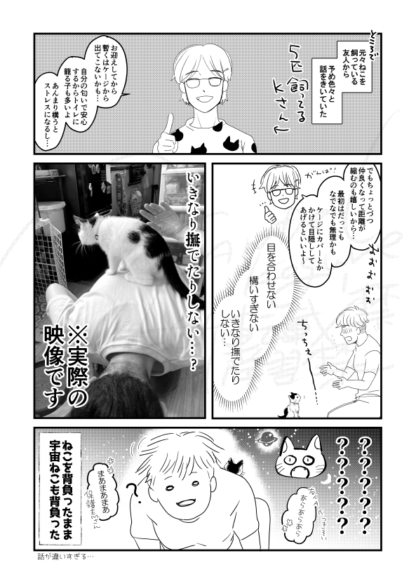 59038xca's tweet photo. お久しぶりですねこも世話係も元気です。
ここは残しておくつもりでいますが、Xの動向的に休眠という形にしております。たまに呟かないとなので、折角だからブルースカイでアップした漫画を載せておくね。 https://t.co/tcnkTL487G