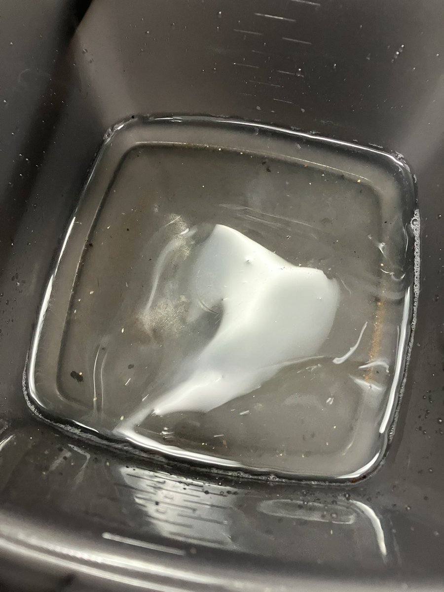MarmYuki's tweet photo. 水やりの度に砂金流れてる気がする。 https://t.co/7F6n8ItjXW