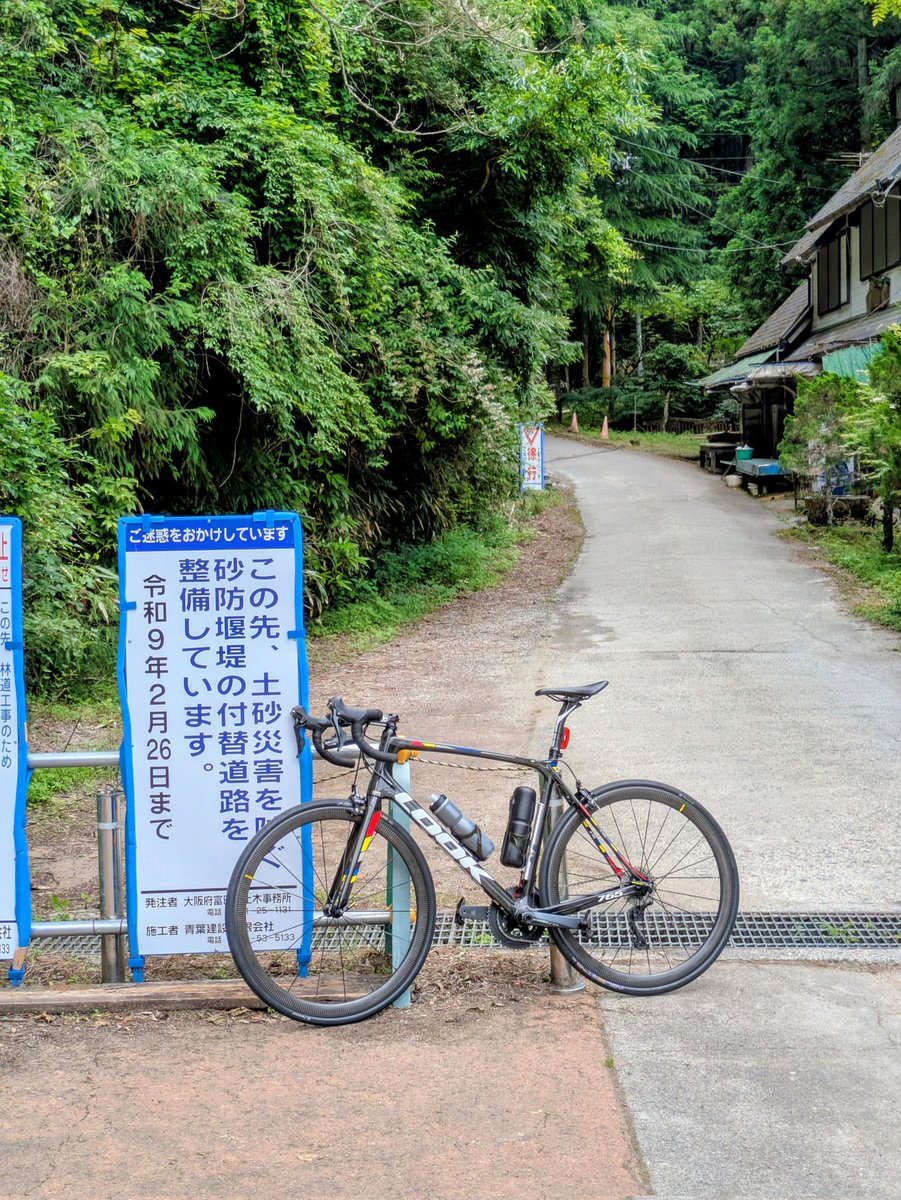 Carter_LOOK765's tweet photo. さて日曜日、どこへ行こうか迷った結果…
やっぱりマイホームマウンテン、金剛山へ吸い込まれました😚
#楽しければどこでもいい https://t.co/4ZlzjVOc5I