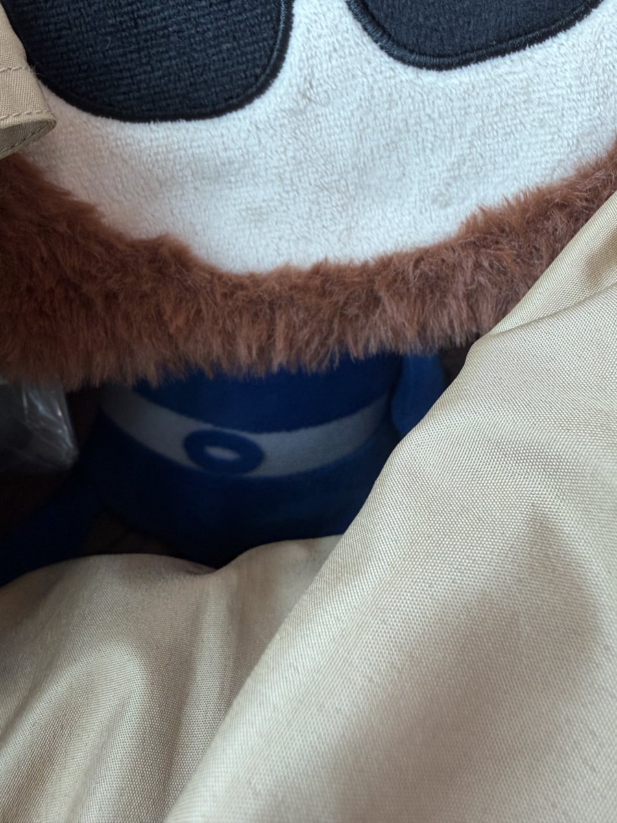 Kbmma6's tweet photo. ボクは横アリくん
でもハチミツ食べたいなぁのクマさんになったんだー
これから横浜行くねーっ🚃 https://t.co/UabNhaFuOx