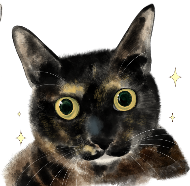 hapido1974's tweet photo. 猫練習✨🐱✨ https://t.co/qtUVORT7Lz