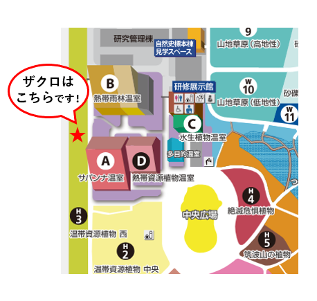 かはく【国立科学博物館公式】 tweet media