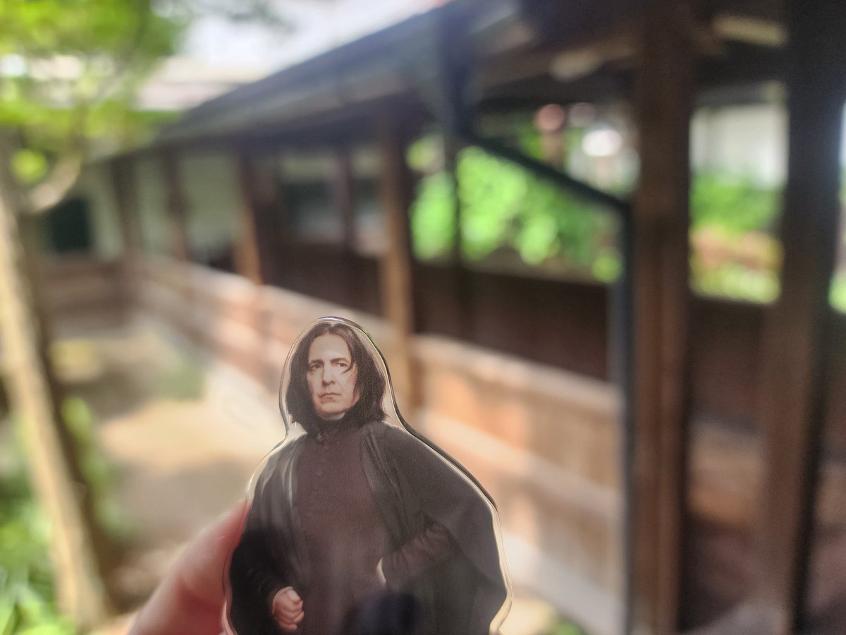 0109Snape_'s tweet photo. 岐阜にやってきたぜ！
セブルスも一緒に来たから写真撮ったものの、アクスタか景色かのどちらかがぼやけて上手に撮れないな...
みんなどうやって綺麗に撮ってるんだ？ https://t.co/qLDeHque6J