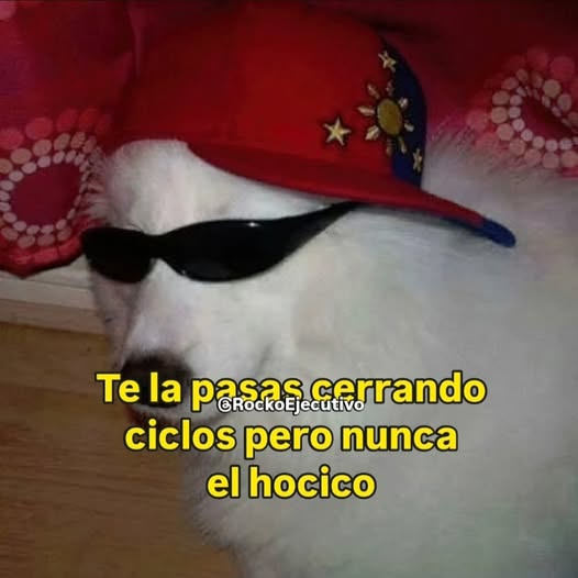 LAPULGATUSA's tweet photo. https://t.co/ECQmpsZ54I