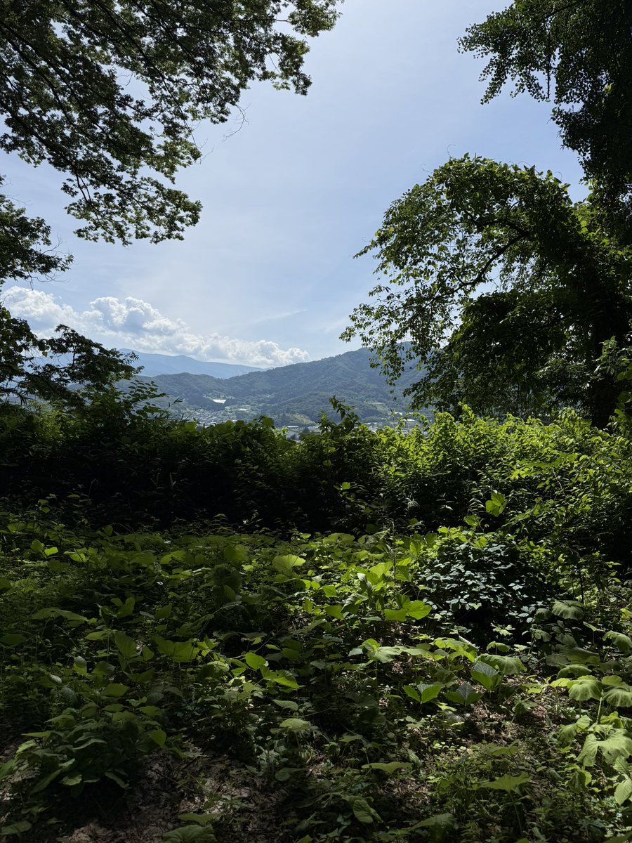 kuromocoxttx's tweet photo. 月岡神社⛩️まで散歩してきた。
緑が心地いい☺️
このあと！ここで、かみのやまデスフェストあるよ❣️ https://t.co/Sjajn5y8Sr