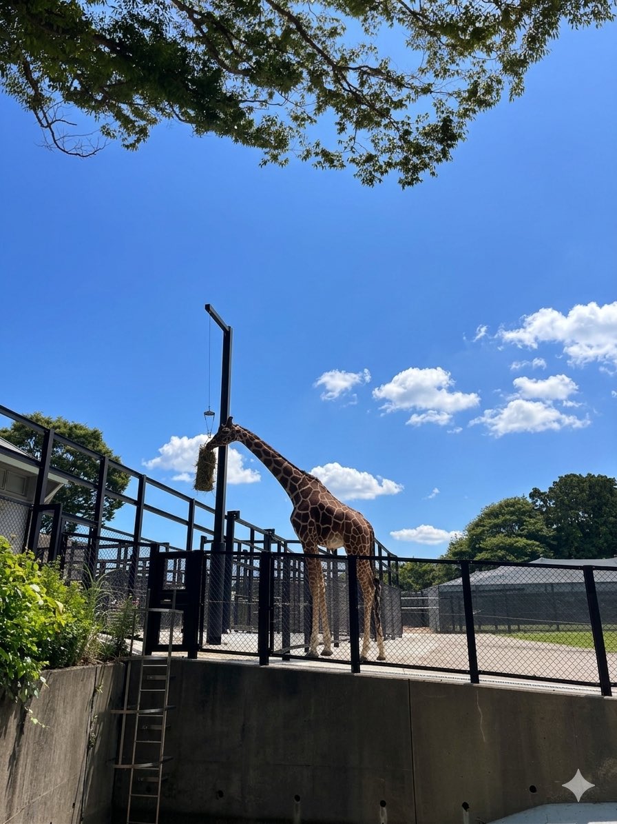 AtTekko's tweet photo. ちっとばかし蒸し暑いね🥰 https://t.co/pAOpFYCngM
