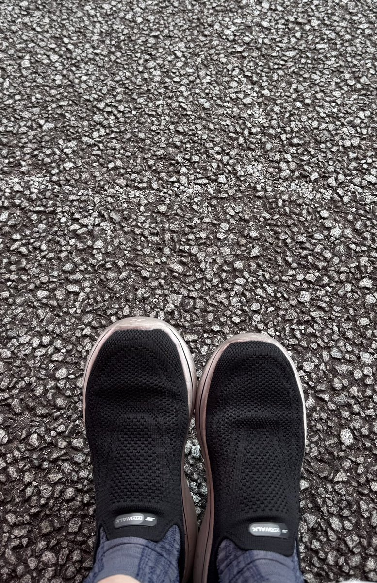 k_mryu's tweet photo. 町の検診中
会場の下駄箱のスケッチャーズ率が高くて間違えられないかドキドキしながら履いたけど
このスルット感いつものやつで安心したー💦
もうほかの靴履けないよねーうんうんわかるよ https://t.co/EdW91Vl4Ze