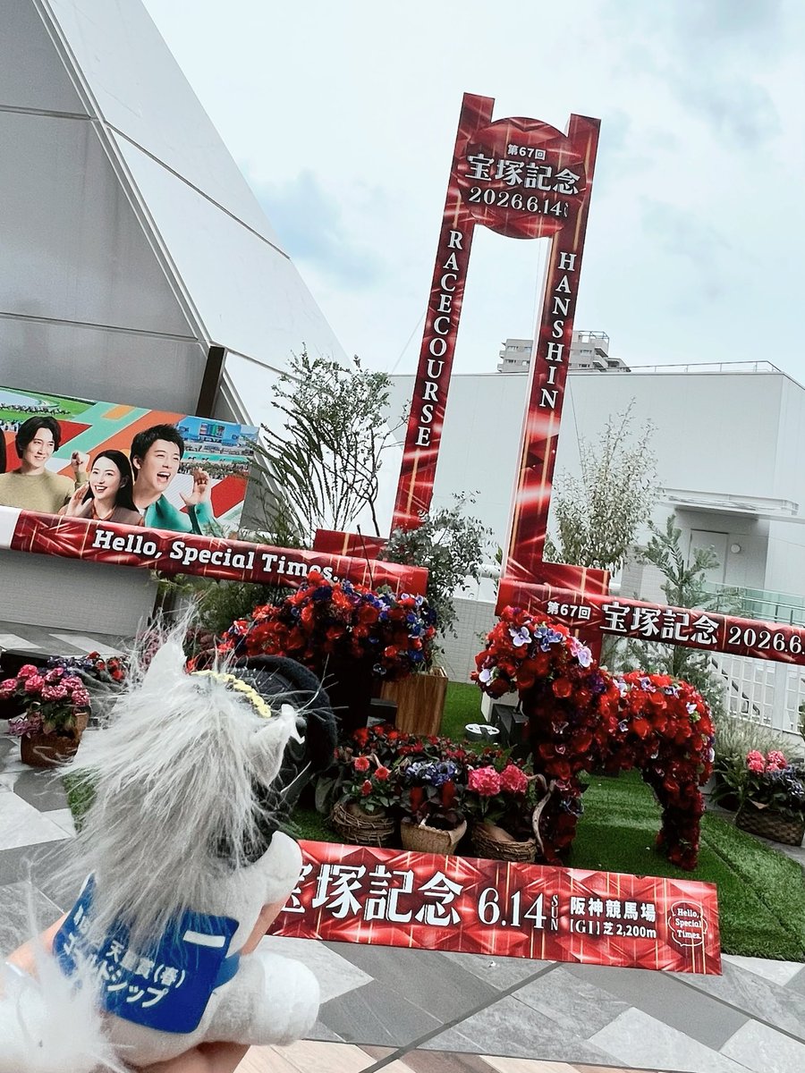 agent_K563's tweet photo. 宝塚記念きたーーー！！！ https://t.co/NvgzM5YcKu
