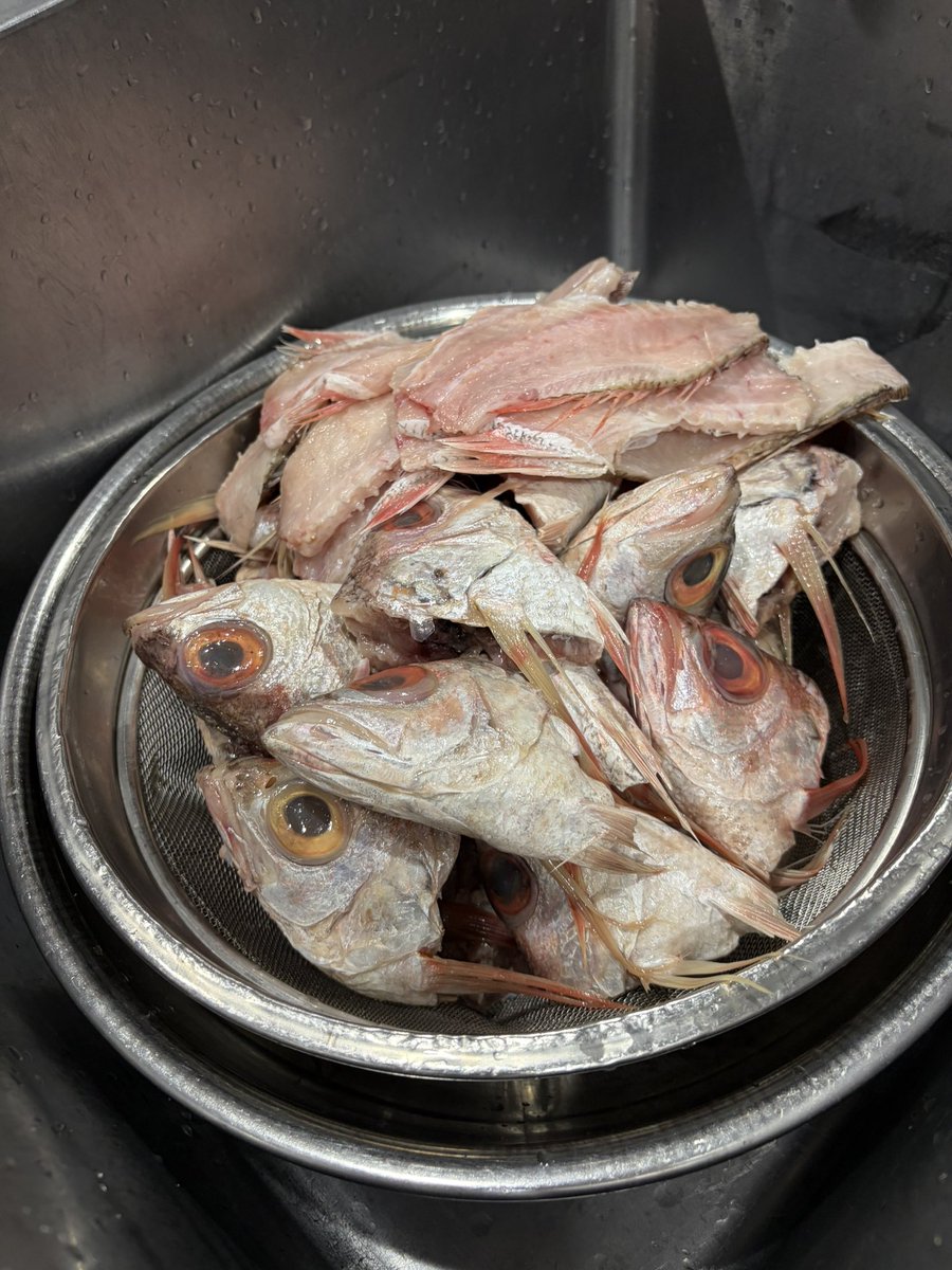 Fukumenhana2015's tweet photo. おはようございます。

今日はノドグロのアラ追ってます。

わんたんは[生姜]と[あおさとれんこん]と[イカと大葉]と[春菊]の4種類です。

本日もよろしくお願いします。 https://t.co/G45POJb2Kk