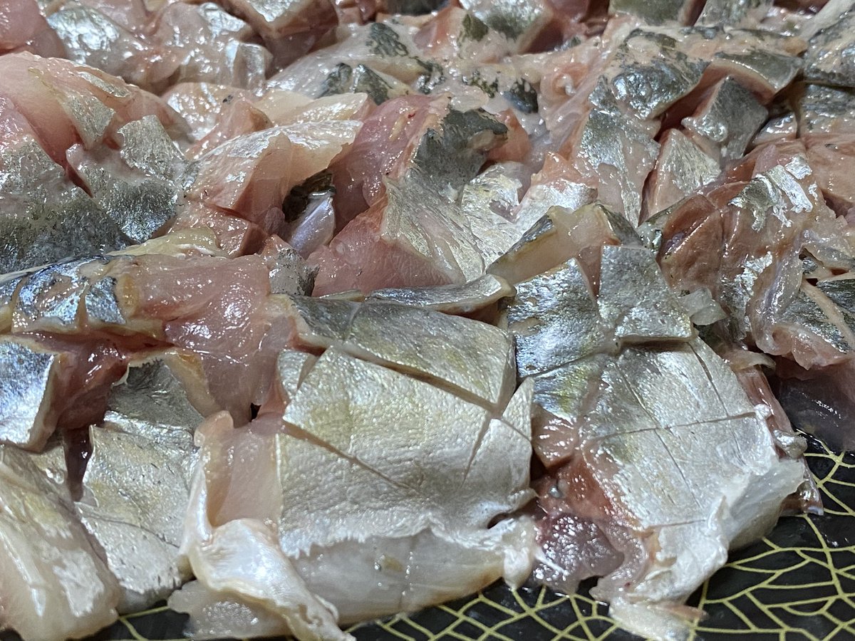 AstroOctopus's tweet photo. アジが旬。
めちゃくちゃ脂のっていて、刺身最高！旨みととろける脂で最高✨ここ1ヶ月くらい毎週アジ祭りしてる🐟🥢

自分で捌けば安くてたっぷり食べられるけど、パックのお刺身でもいいから今夜はアジにしよう！

塩焼きもまたジューシーで大変良い！！ https://t.co/9wQ1iHQf0F