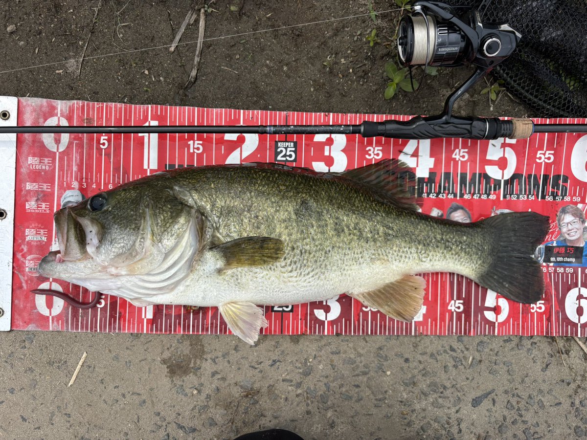 Bassturi1228's tweet photo. ミスを乗り越えてようやく1本目 https://t.co/J0cj4aQLan