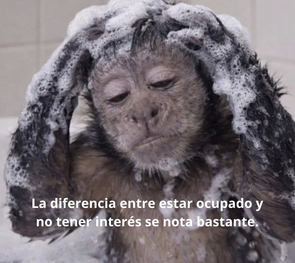 conoloracigarro's tweet photo. https://t.co/qmgiKCSk08