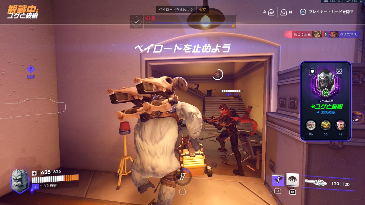 バナごり🦍🍌 tweet media