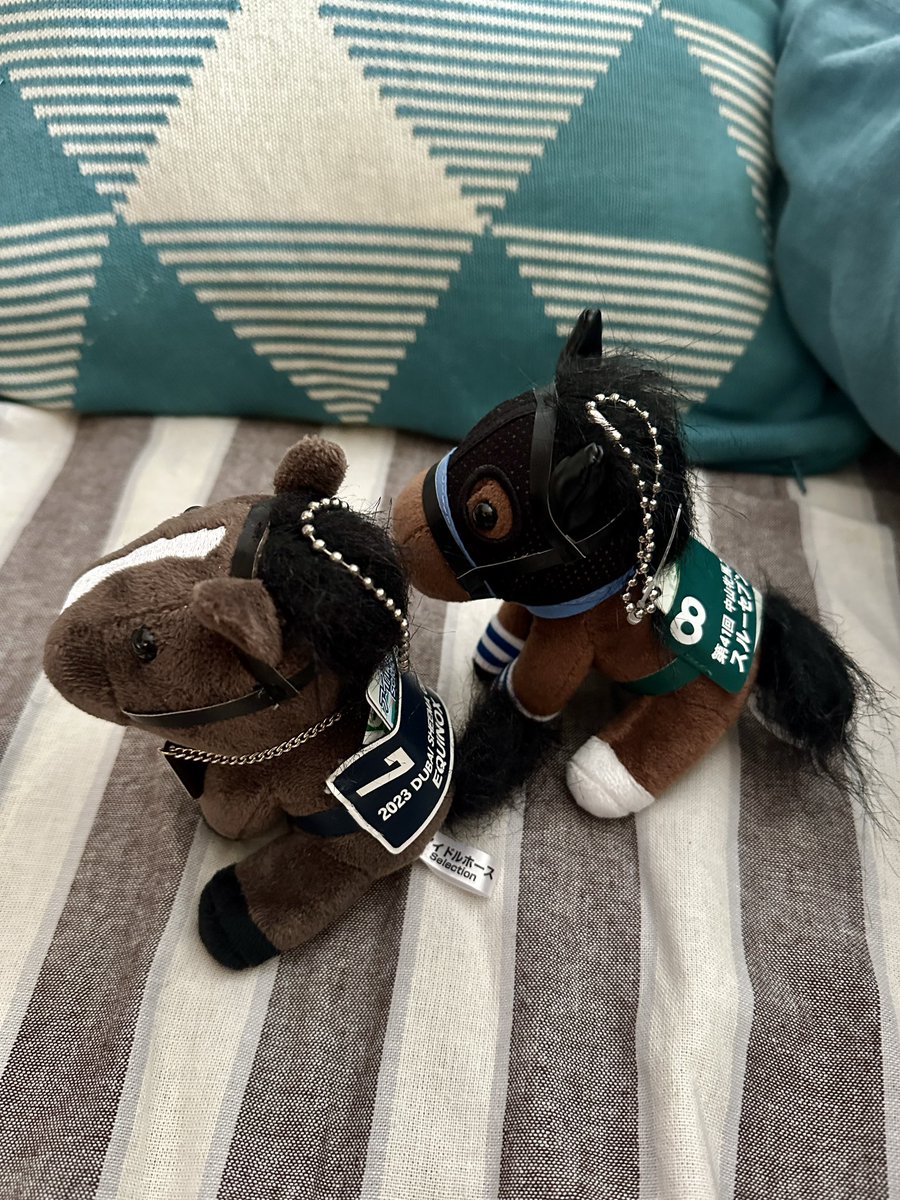 宝塚記念2023 イクイノックス🐴→スルーセブンシーズ🐴 #アイドル