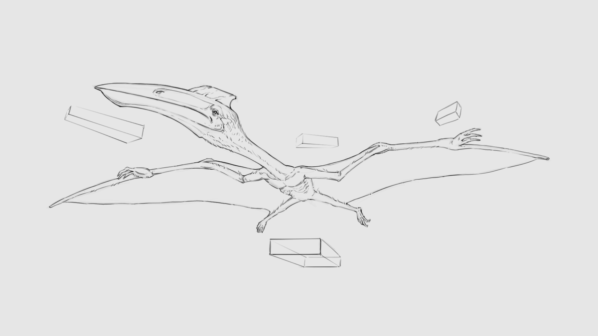 phuleart's tweet photo. Quetzalcoatlus, sketches. https://t.co/NsJUSB1gG9