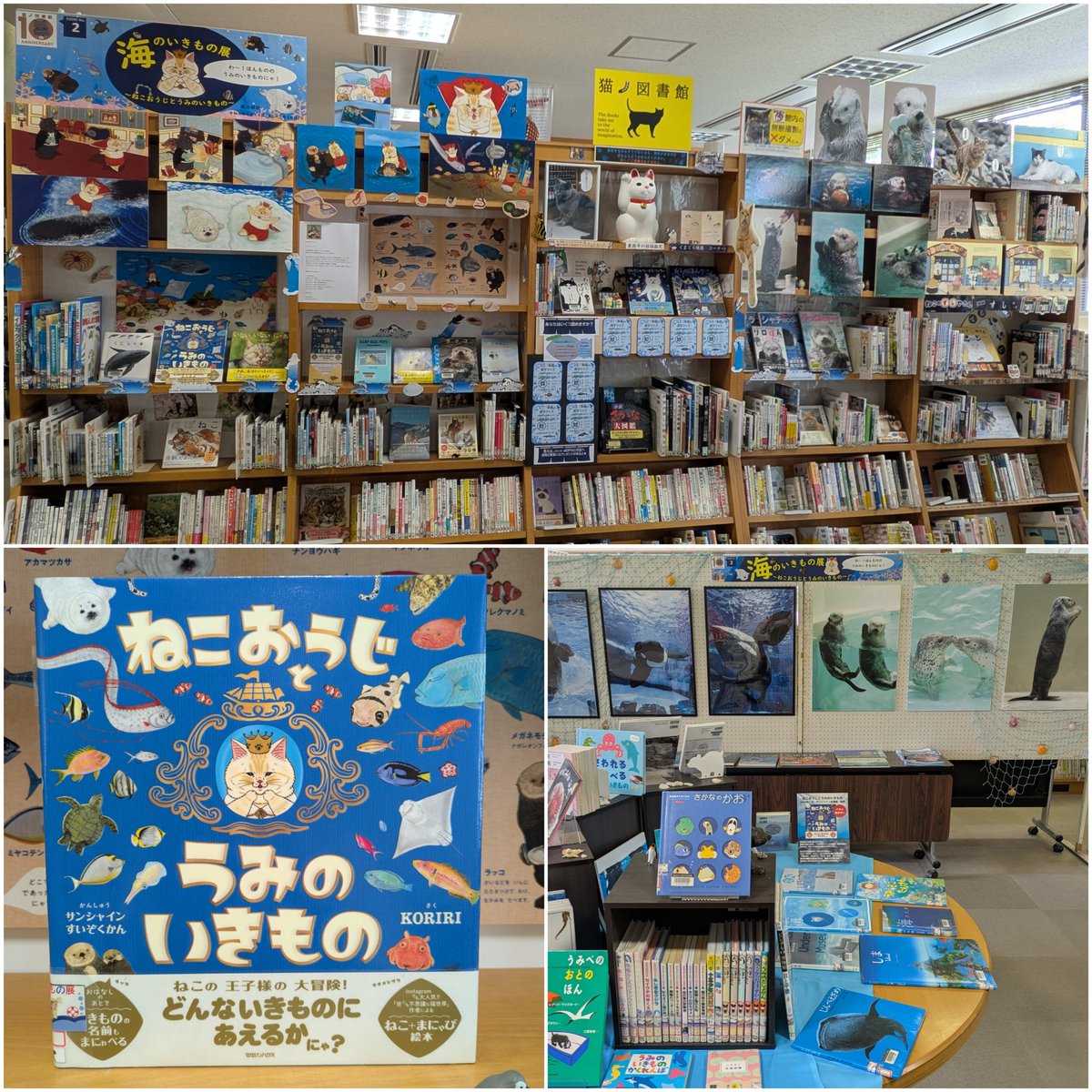 neconotoshokan's tweet photo. 【#猫ノ図書館 】展示を公開！#猫ノ図書館10周年 特別企画『#海のいきもの展 〜ねこおうじとうみのいきもの 〜』パネル展🐠🌊🫅
#KORIRI 著 #絵本 『#ねこおうじとうみのいきもの 』（#マガジンハウス ）と海のいきもののパネル（#南幅俊輔 ・ #かぶつ ）展です🦭🦦"おさかなクイズ"もあります！

#海 https://t.co/0PhAAYzeYN