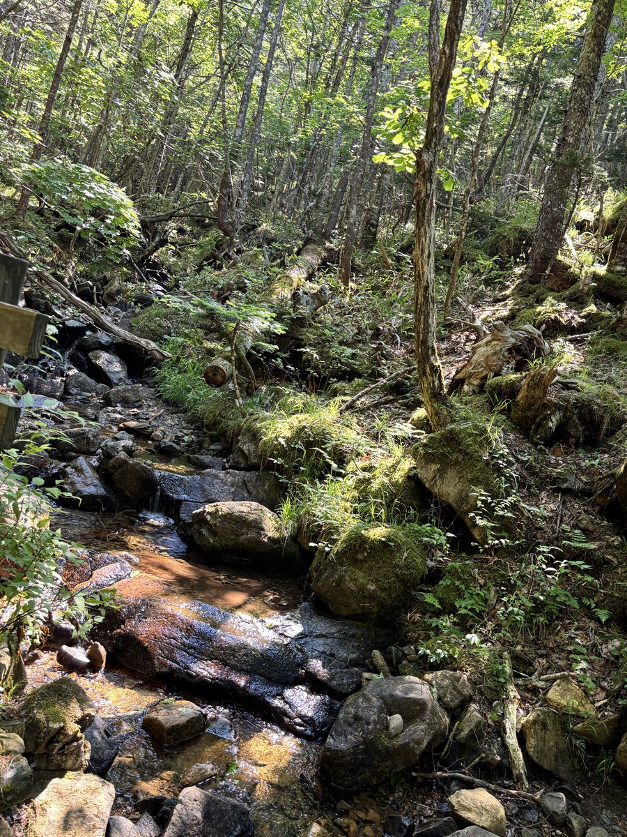 savy_natuko's tweet photo. ⛰️ https://t.co/QV5F8RrH9z