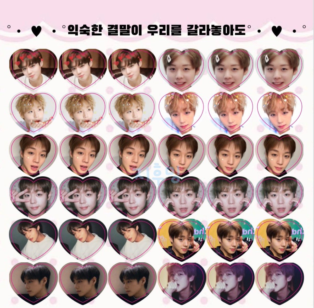 지후밍 tweet media