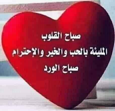 3li0_7z's tweet photo. @haloom_alsaadi https://t.co/kvxqn3TXGg