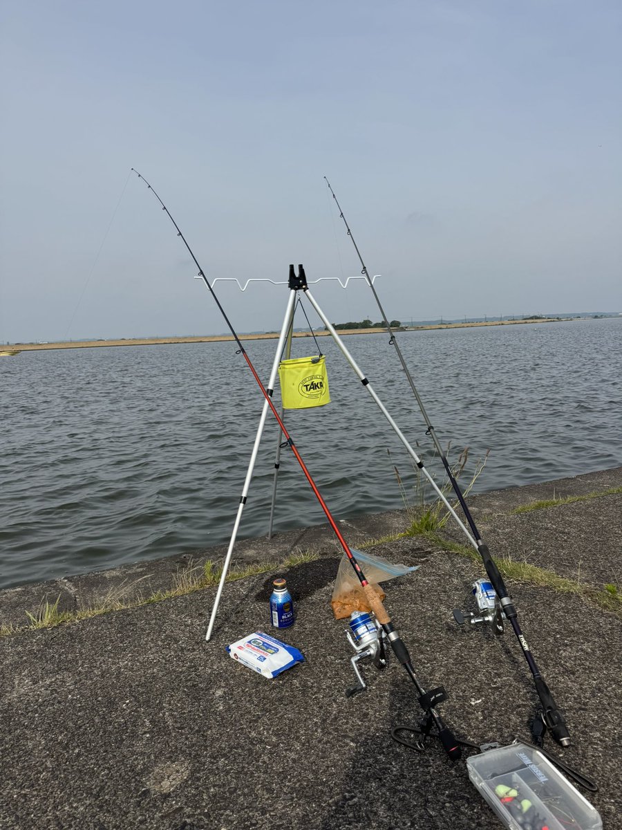 JasRX's tweet photo. 茨城県某所で6月恒例のナマズ釣り
今年は型は小さいし数も上がらなかったけど、薄曇りで微風が吹く絶好の日和
心地良く楽しめました！ https://t.co/Z6mu70PEx6