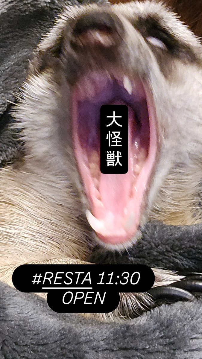 RESTA_LLC's tweet photo. #RESTA 11:30 -  ̗̀ 𝙊𝙋𝙀𝙉 .ᐟ.ᐟ   ̖́-
本日もお待ちしております☕️🥖

6.26~27のカフェ予約は全て埋まりました！ありがとうございます💭 https://t.co/pXChIKpQcZ