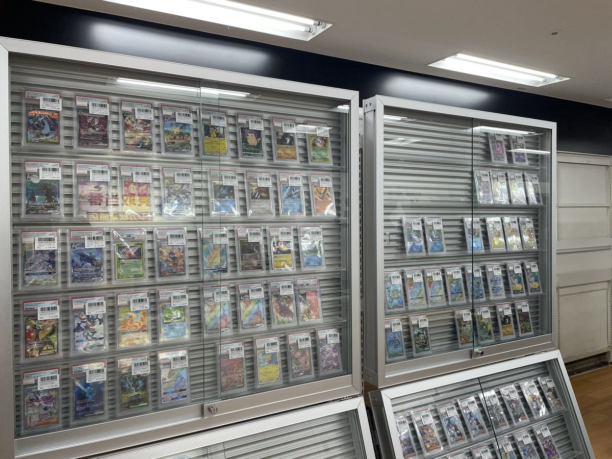 ✨店内ショーケースのご案内✨ 当店で販売中の注目商品をご紹介します