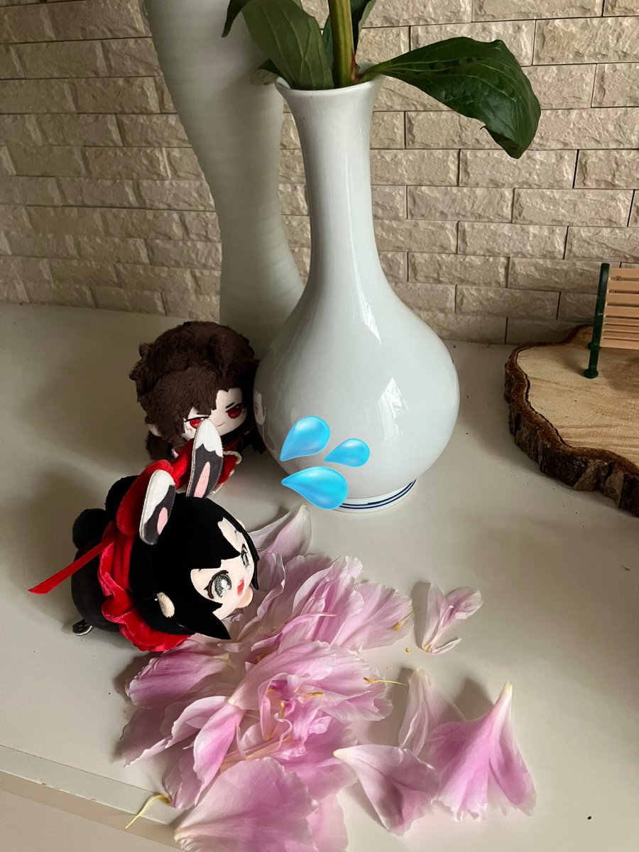 pyon21005's tweet photo. わーーーーーーーーっっ💦
らんじゃーーーーーっっ💦

 #MXTXぬいのいる生活
 #もちもち狂人 https://t.co/OslwbuFuQF