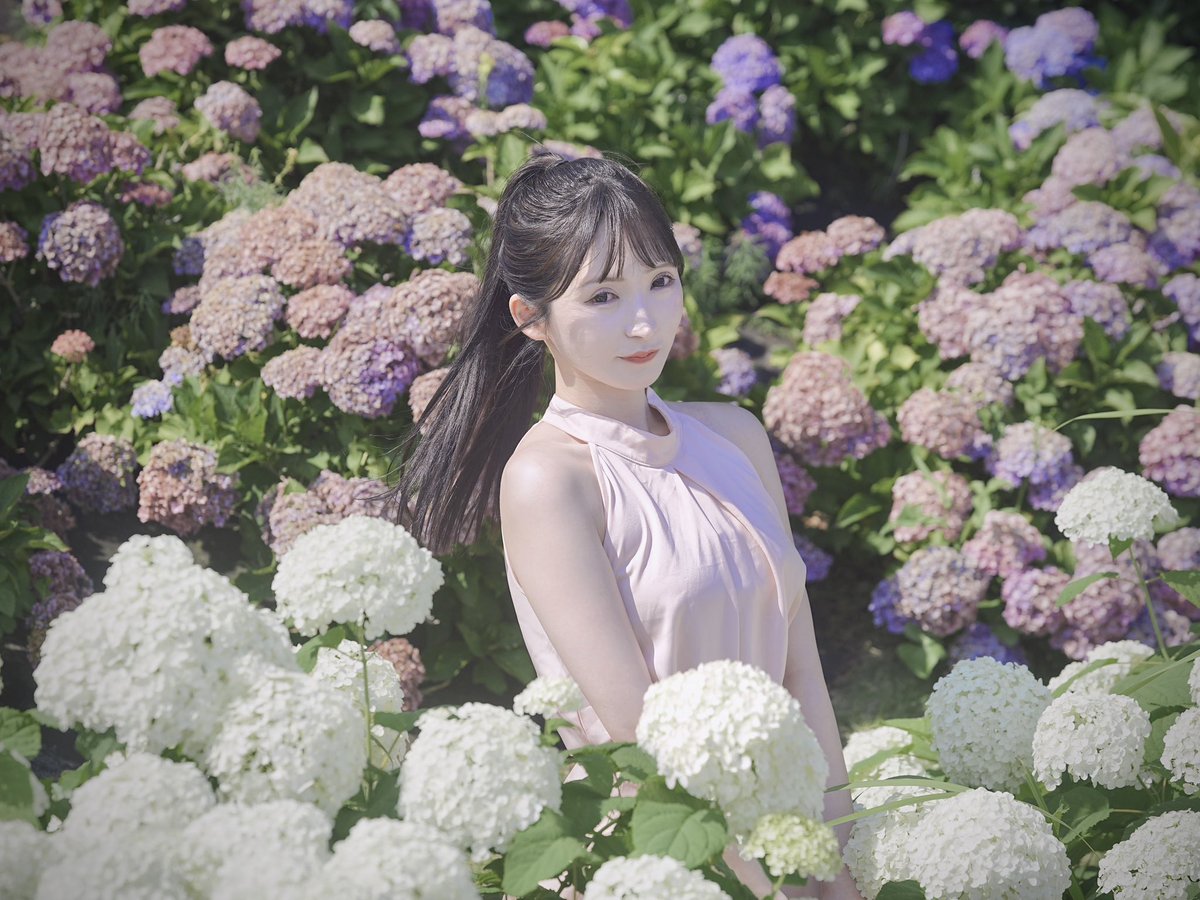rowind89's tweet photo. 6/13 お台場
@miinyaaa23 さん
ピンクと紫の紫陽花色が少し悪い
#清宮みいな #紫陽花 #被写体 #モデル #ポートレート #ポトレ #被写体募集 #モデル募集 #相互無償 #モデルさんと繋がりたい #model #portrait https://t.co/qfrYk2Mvpm