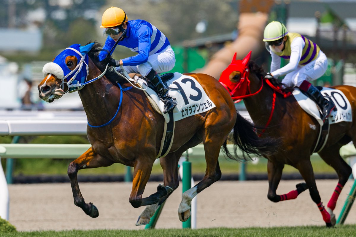 le_courage0610's tweet photo. カガラプンツェル
（2026/6/14 1R 3歳未勝利）
#原田和真 騎手
#函館競馬場 https://t.co/0nFiljzUXg