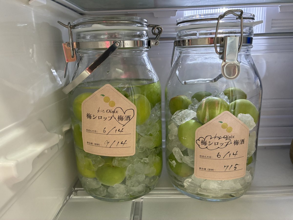 mahoshimayumi's tweet photo. 梅酒と梅シロップ作り初挑戦٩(*´꒳`*)۶
出来るのが待ち遠しい!!!!
#梅しごと
#kitoisix https://t.co/2as73xTwqM