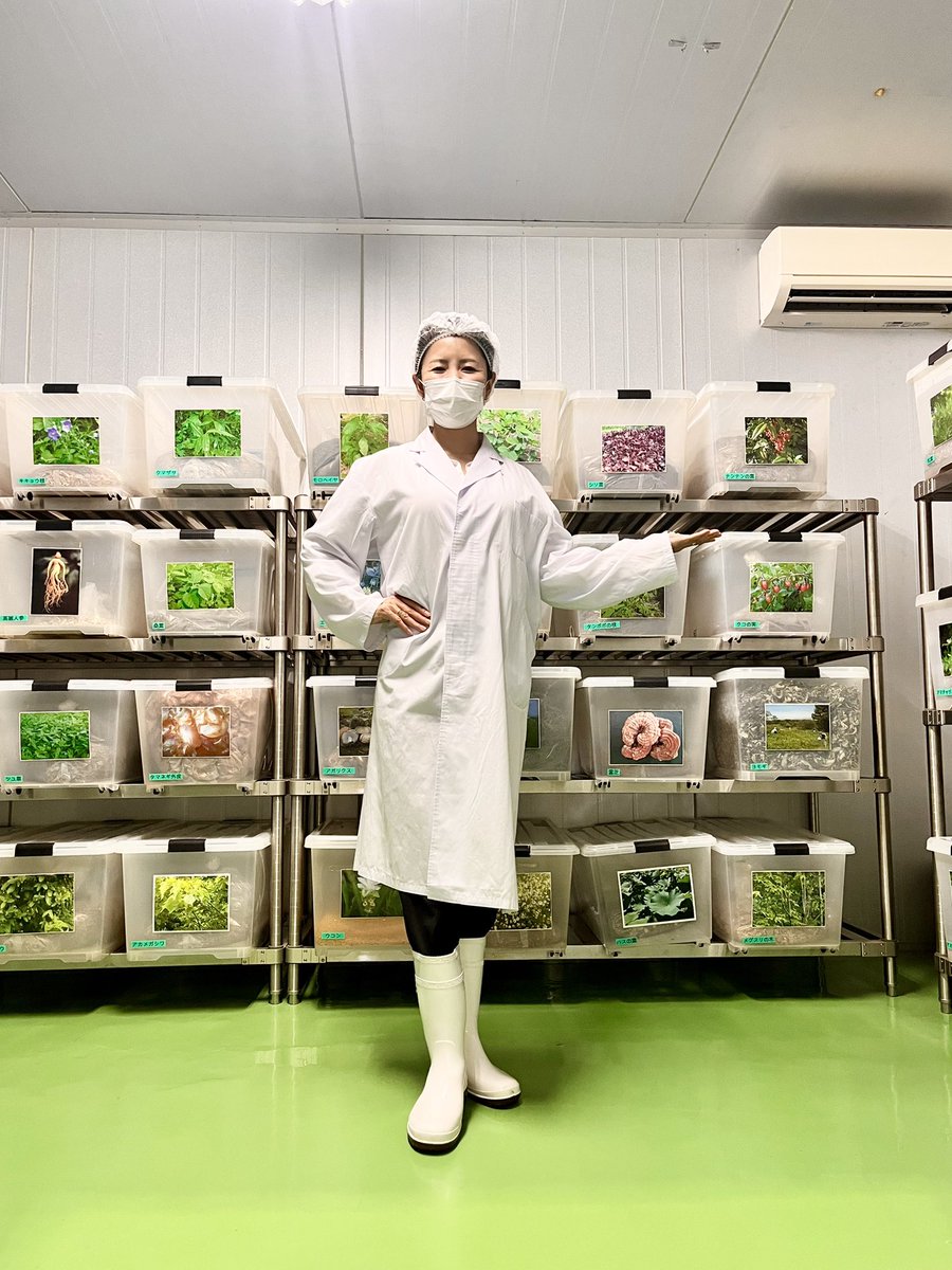 plus_jun's tweet photo. 酵素ドリンクの工場見学
素晴らしかった！

手にしてるのは乾燥ヨモギ https://t.co/btIzhrzohd