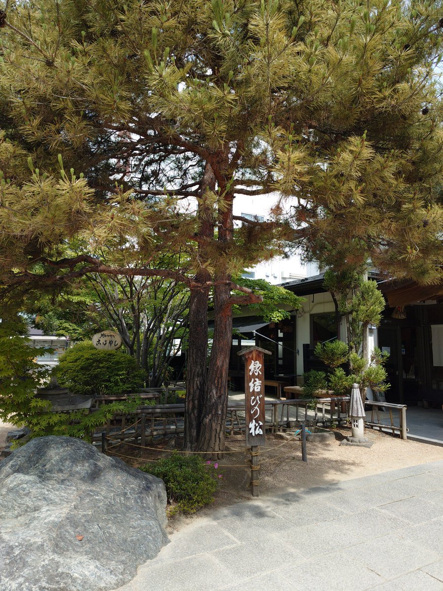 chi32boha27ma's tweet photo. 松本市にやってきました
まずは　すべての願い事が���なえられると話題のパワースポット四柱神社へ
とアガタベーカリーの牛乳パン
#四柱神社
#牛乳パン https://t.co/kzzn0OOM7j