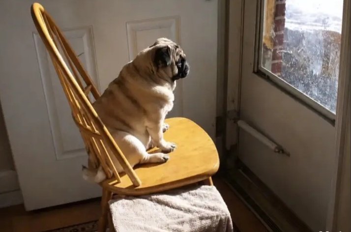 NexTrendNG's tweet photo. Me waiting for the return of Christ cos I'm tired of living in this world! https://t.co/bJDE8SqIog