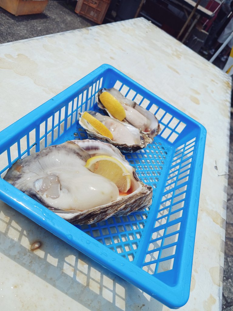 Yarty_mano's tweet photo. カキです https://t.co/IMaPTpXXui