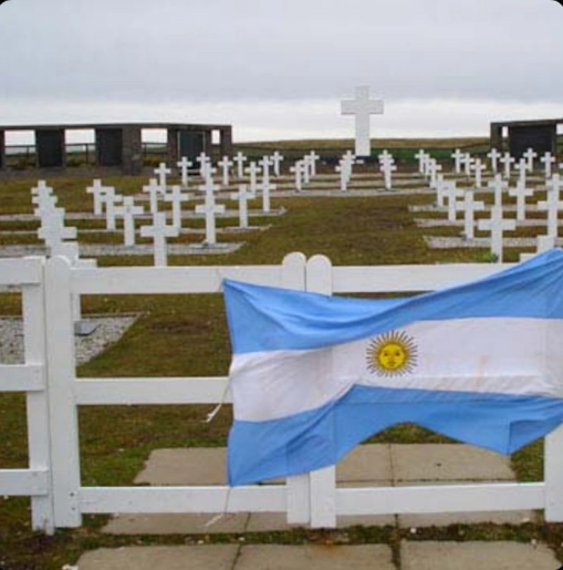 idanielswi's tweet photo. @TyCSports Hola saludos desde mi patio en las falklands https://t.co/N883VALQLC