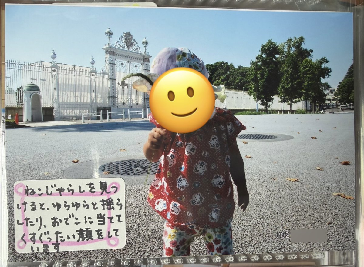 あざらし🎻 tweet media