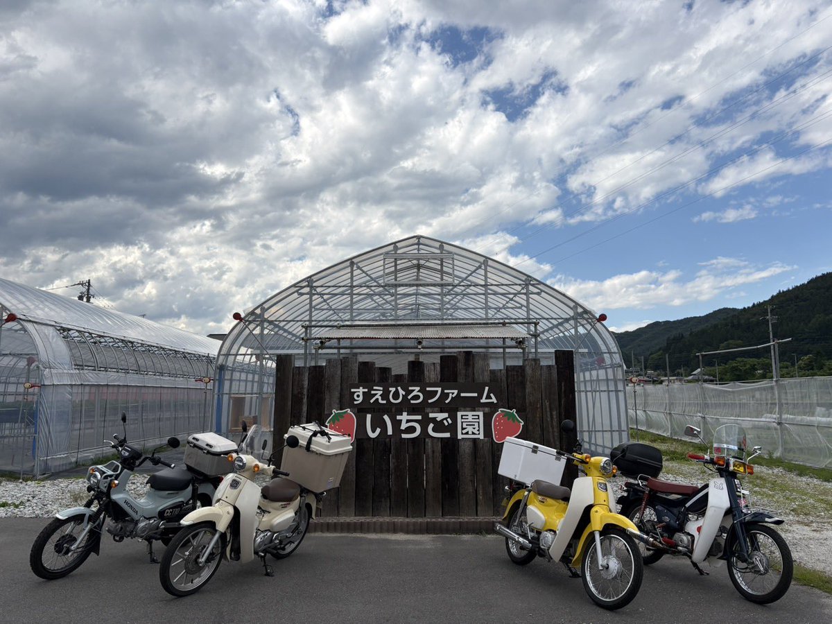 hide75187876's tweet photo. 昨日の追加画像〜
友達のカブをオイル交換したりチョイとイジイジして〜

絶景見に楽しい道通って山奥に行って〜⛰️

ソフトクリーム🍓🍦食べてた🤩

このカブでも平地なら良いけど登りの山道は無理ーーーーすぐ置いていかれる😱
新しいカブ🛵ホスィーーーー https://t.co/9KlUViBHAE