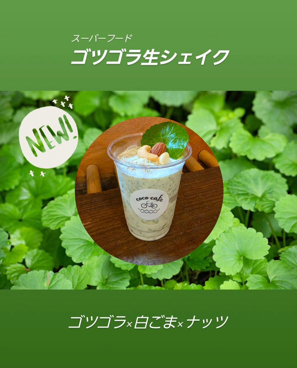 cococafe_295772's tweet photo. 6/14(日) 9:00~17:00 open

本日のオススメ生シェイクは、
スーパーフード ゴツゴラ https://t.co/fTE7DWXDun