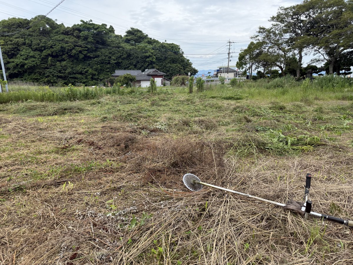 yuilian's tweet photo. めっちゃ天気良いから草刈りきてる💪
曇り空で風もあるって最高の農作業日和だじぇ！（笑） https://t.co/izb0Z6lfek