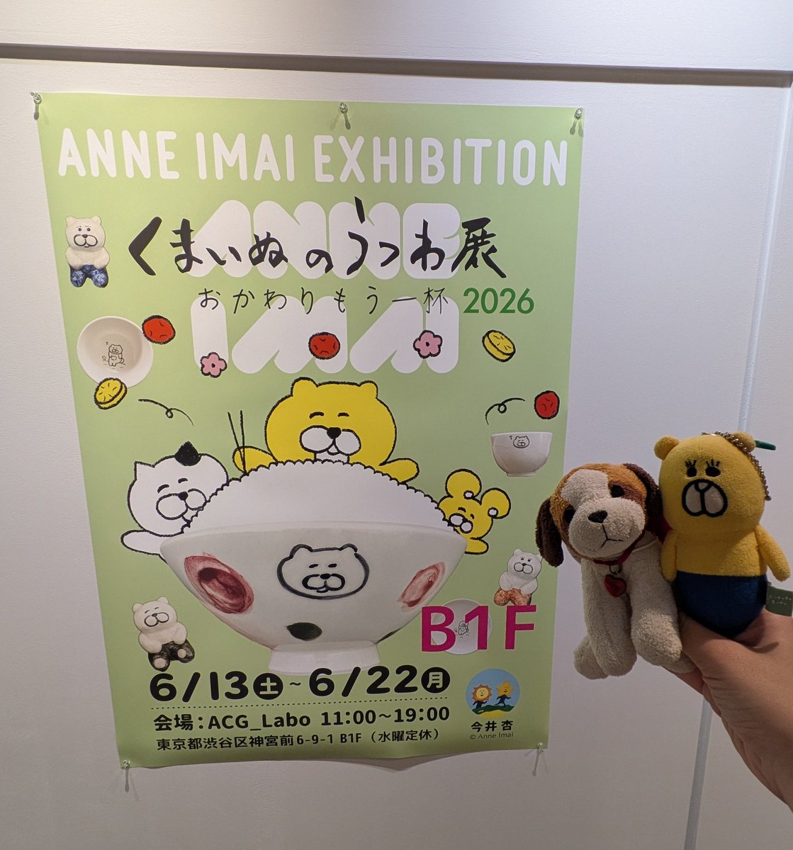 ←カメラの広角によりスリムに見えるくまいぬさん →本来の姿のくま