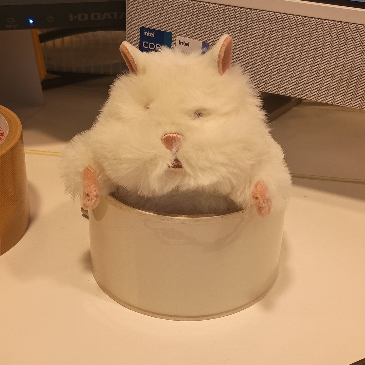 manichavrc's tweet photo. 袋入ってた時の方が可愛かったな https://t.co/Gm5KP4BSF4