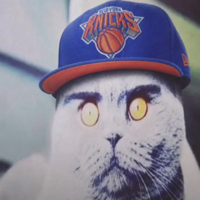 tra3n0's tweet photo. @poe_real69 Don't worry $Folkcat is here to save the day https://t.co/UNiB7xUzIw