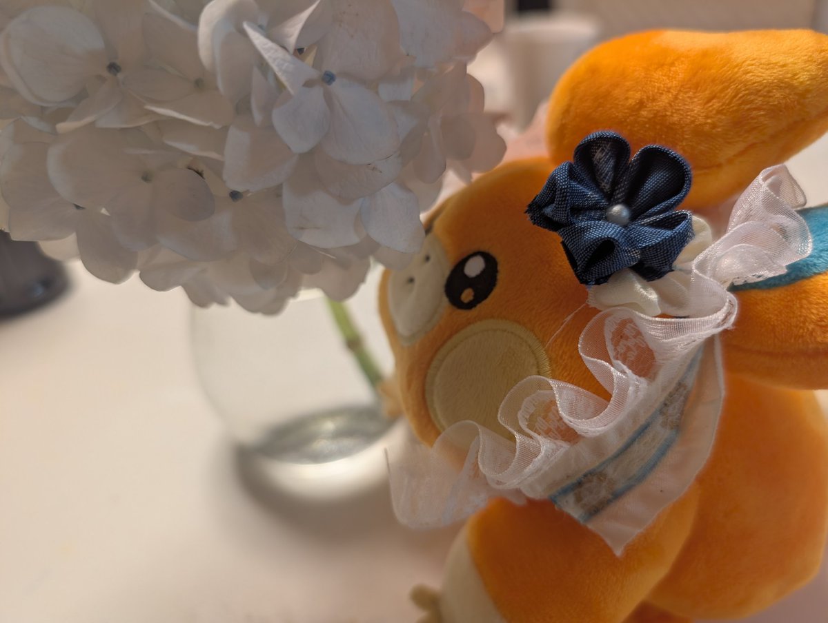 0ham_o's tweet photo. パモもお花になっちゃった✨ https://t.co/0rRXdohgTs