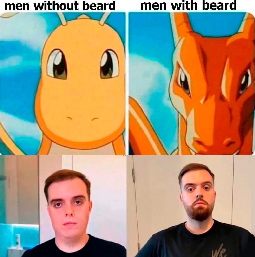 Pokémon Daily tweet media